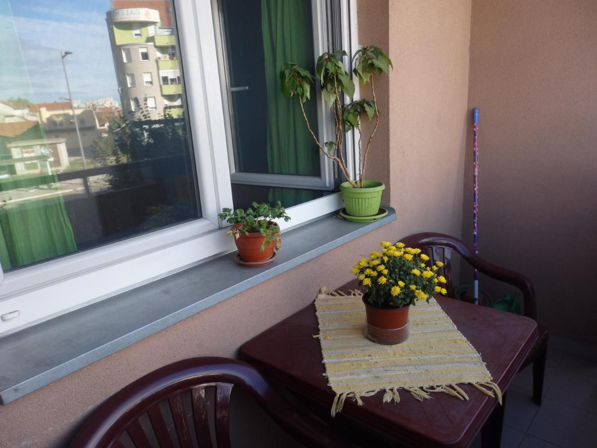 Apartment Erika 2 Novi Sad Ngoại thất bức ảnh