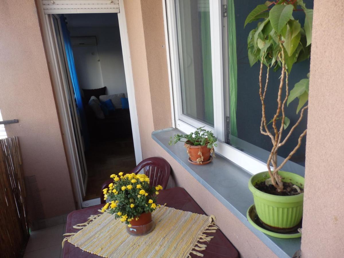 Apartment Erika 2 Novi Sad Ngoại thất bức ảnh